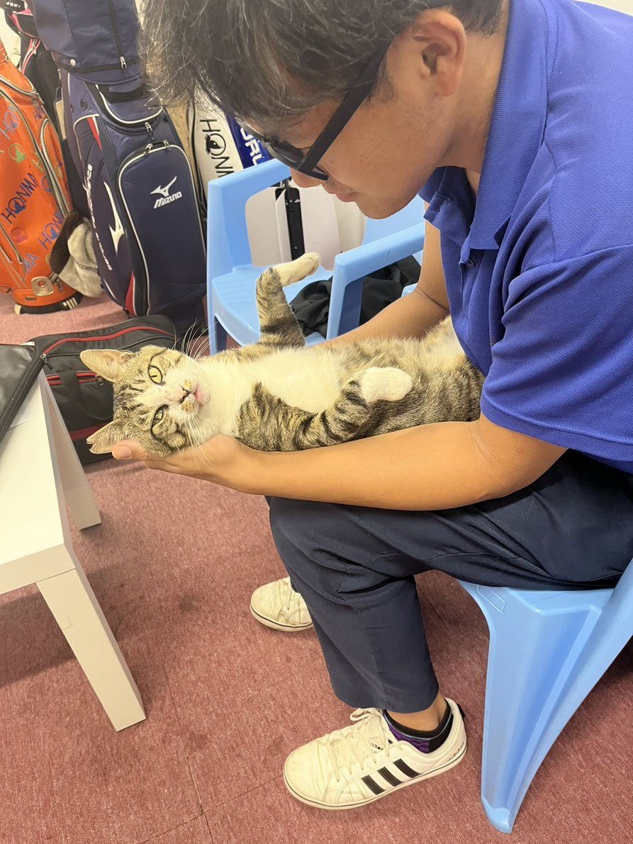スタッフのひざの上でくつろぐ猫
